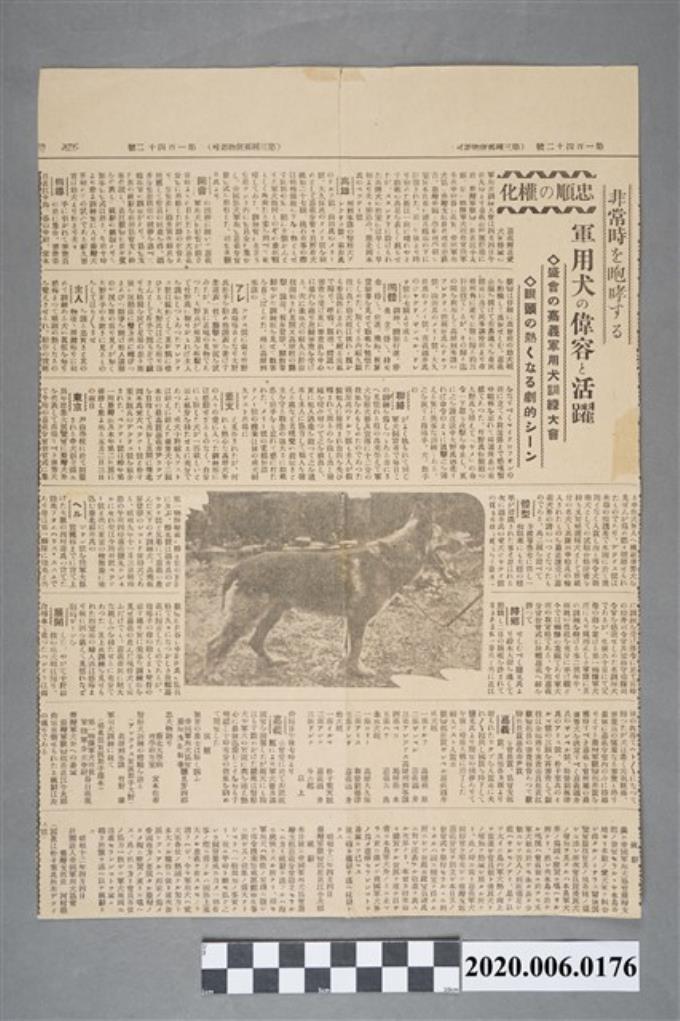 軍用犬剪報 藏品資料 國立臺灣歷史博物館典藏網