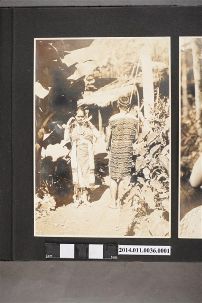 大正12年上原勇作元帥臺灣藩地巡視演說過程中兩位泰雅族人相片 (共2張)