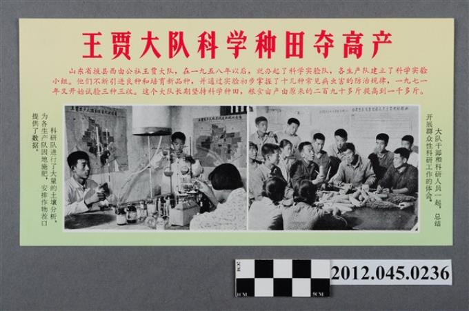 ｢王賈大隊科學種田奪高產｣中國共產黨對臺灣政治宣傳單 (共2張)