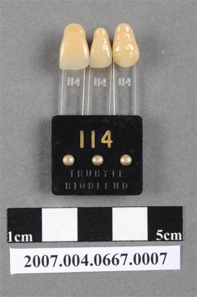 TRUBYTE BIOBLEND牙科比色板114 (共4張)