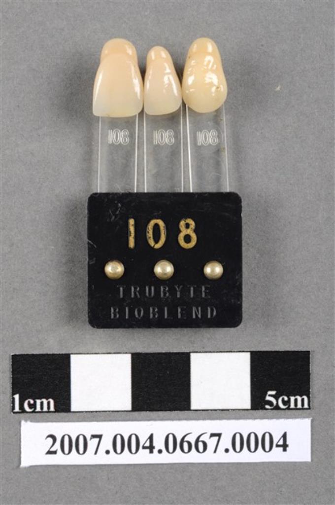 TRUBYTE BIOBLEND牙科比色板108 (共4張)