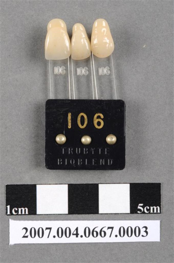 TRUBYTE BIOBLEND牙科比色板106 (共4張)