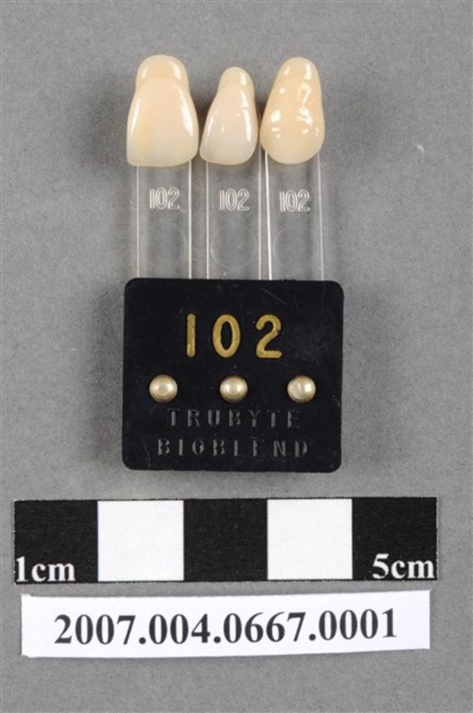 TRUBYTE BIOBLEND牙科比色板102 (共4張)