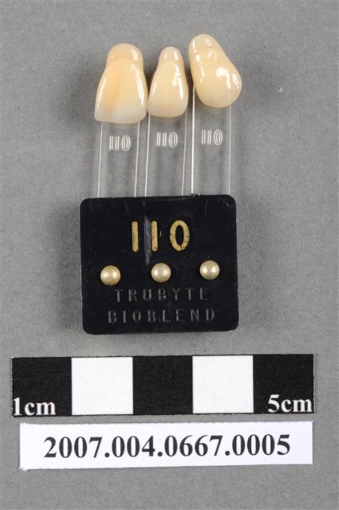 TRUBYTE BIOBLEND牙科比色板110 (共4張)