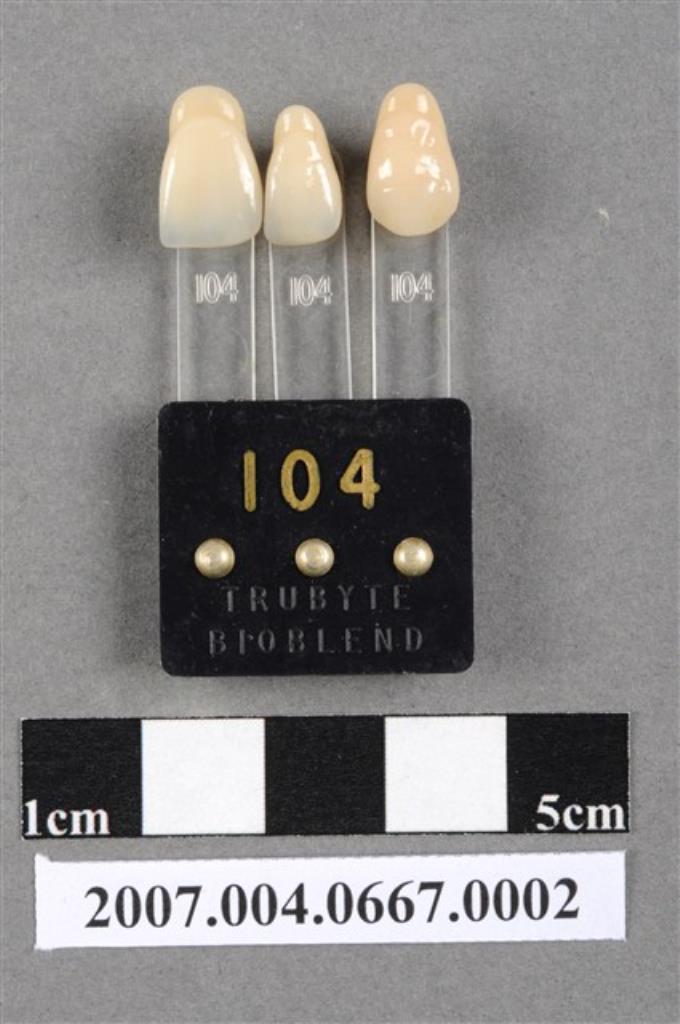 TRUBYTE BIOBLEND牙科比色板104 (共4張)