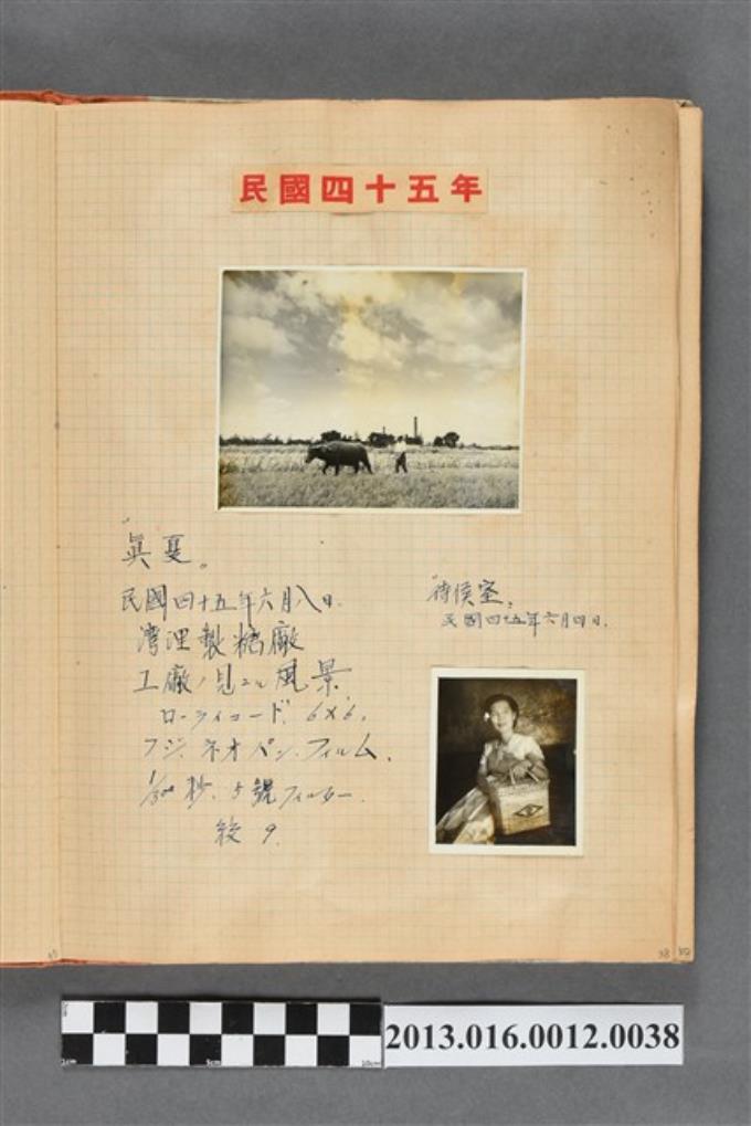 民國45年6月於善化製糖廠的盛夏與等候室照2張 (共2張)