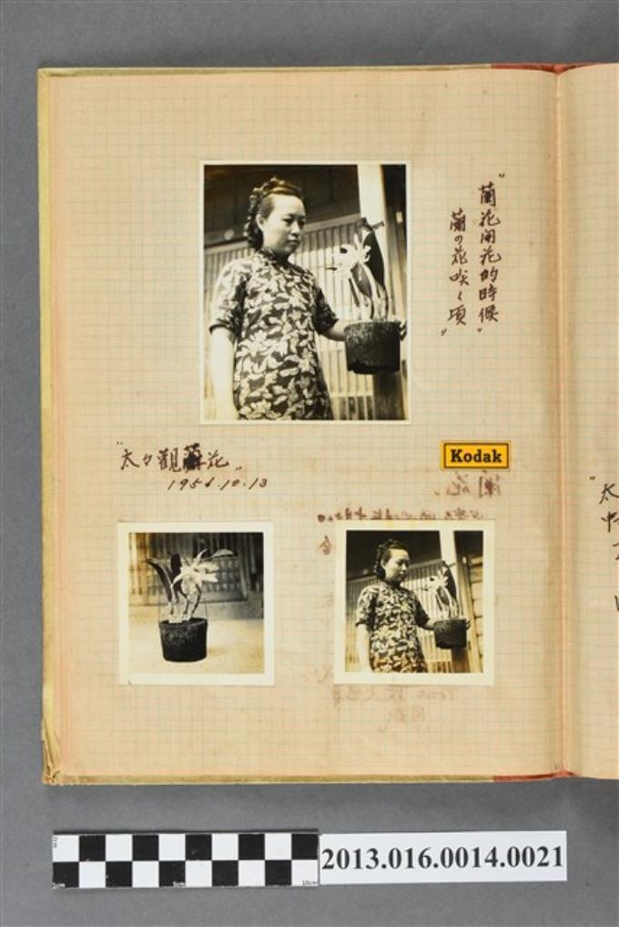 西元1956年陳崧波之妻觀蘭花3張 (共2張)