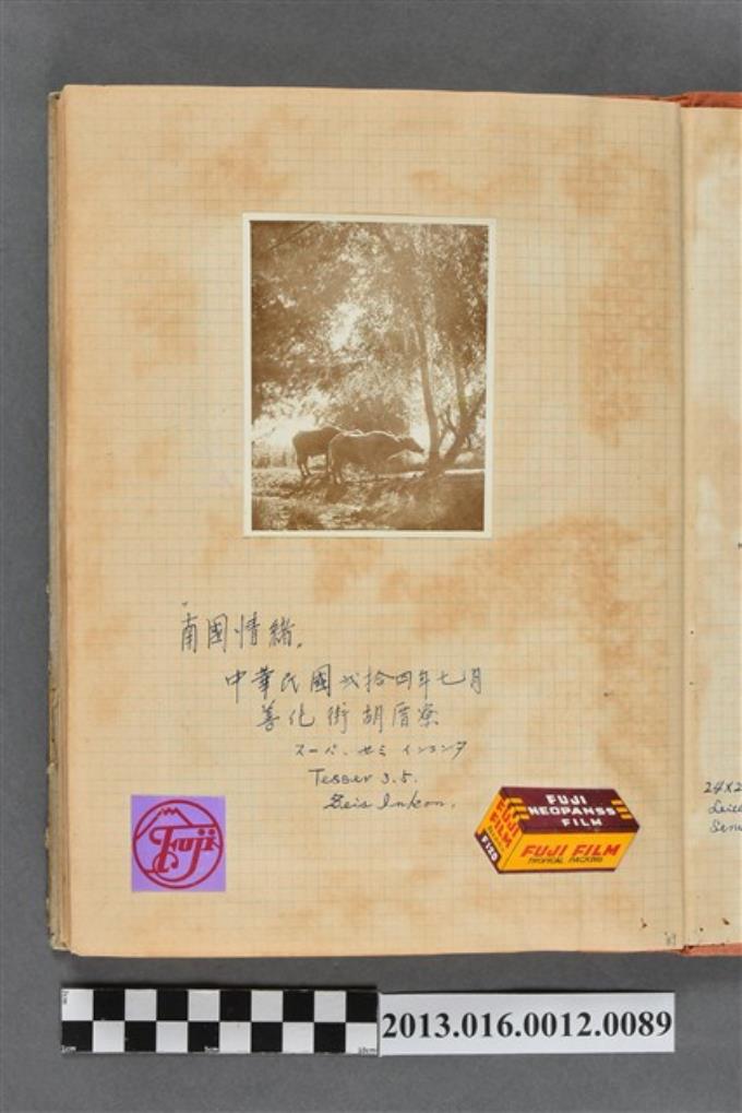 民國24年7月於善化街胡厝寮風景照1張 (共2張)