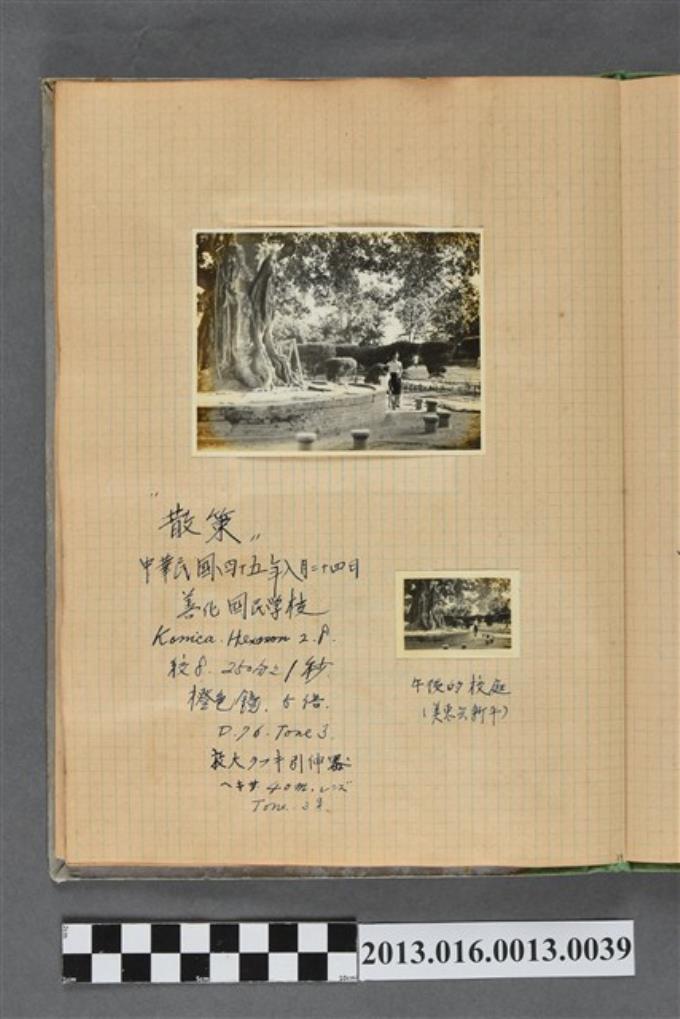 民國45年8月24日陳美惠與陳新平於午後的校園合照2張 (共2張)