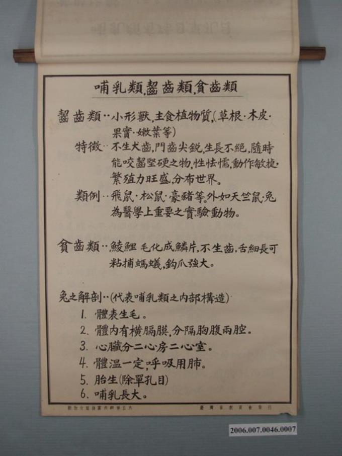 臺灣省教育會發行《動物分類掛圖表解》之哺乳類 (共1張)