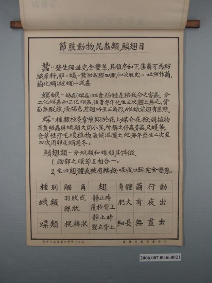 臺灣省教育會發行《動物分類掛圖表解》之節肢動物 (共1張)