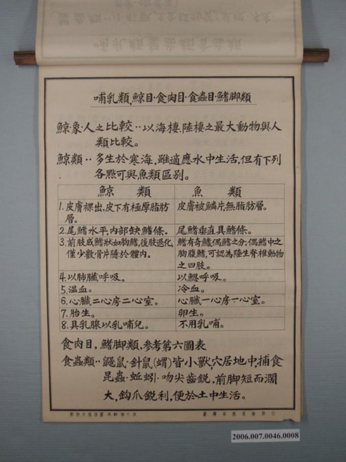 臺灣省教育會發行《動物分類掛圖表解》之哺乳類 (共1張)