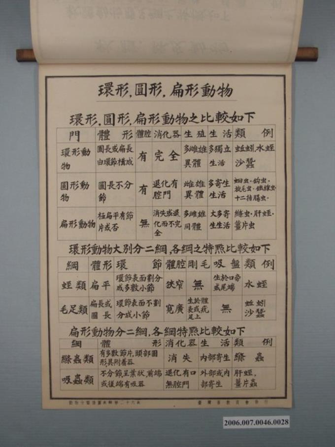 臺灣省教育會發行《動物分類掛圖表解》之環形和圓形與扁形動物 (共1張)