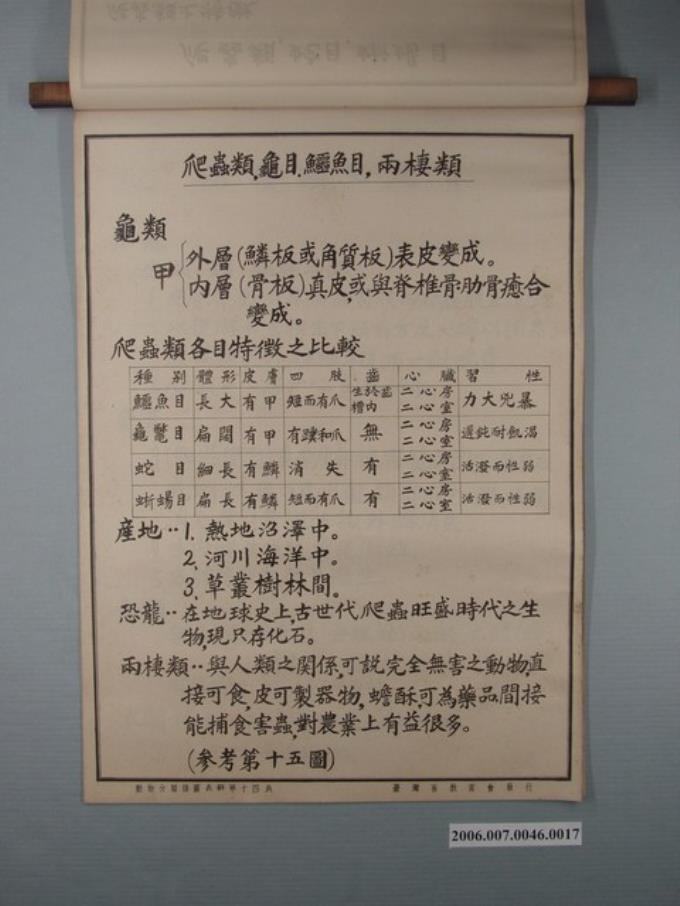 臺灣省教育會發行《動物分類掛圖表解》之爬蟲類與兩棲類 (共1張)