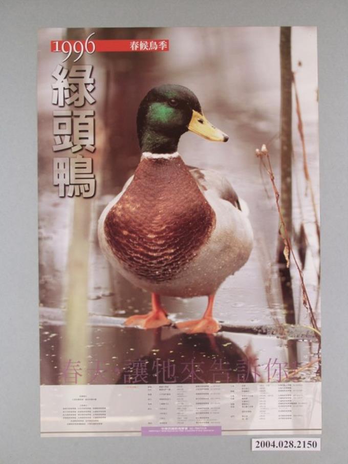 「1996春候鳥季」活動海報 (共1張)