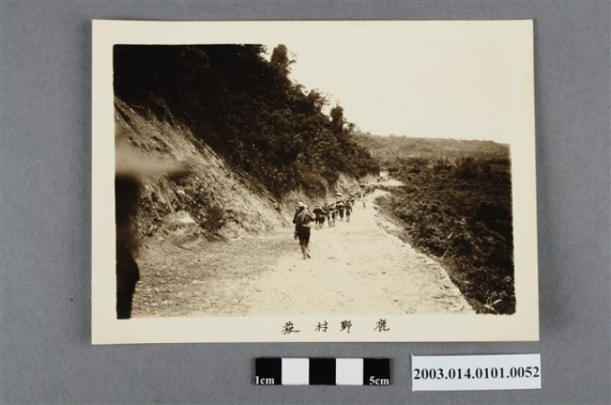 鹿野村出發 (共4張)