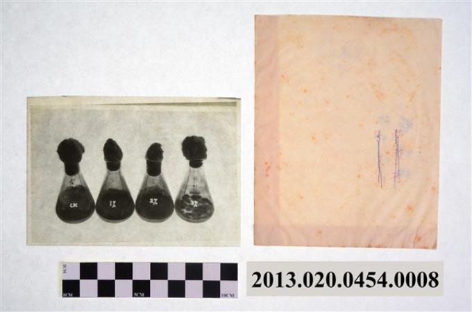 1973年4月23日賴炳琳編號CK等四燒瓶實驗觀察顯微底片 (共2張)