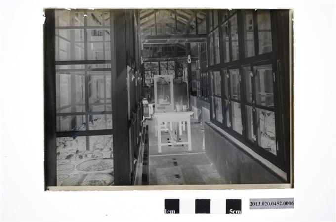 臺灣大學早期校園內硝子室內部玻璃底片 (共2張)