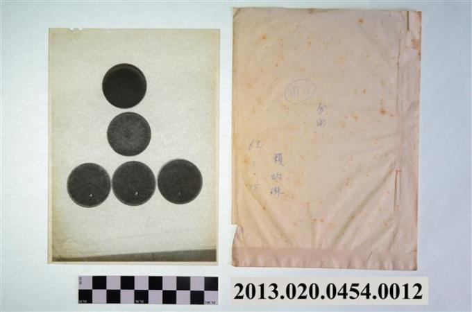 1973年3月15日賴炳琳編號A等五培養皿實驗觀察顯微底片 (共2張)