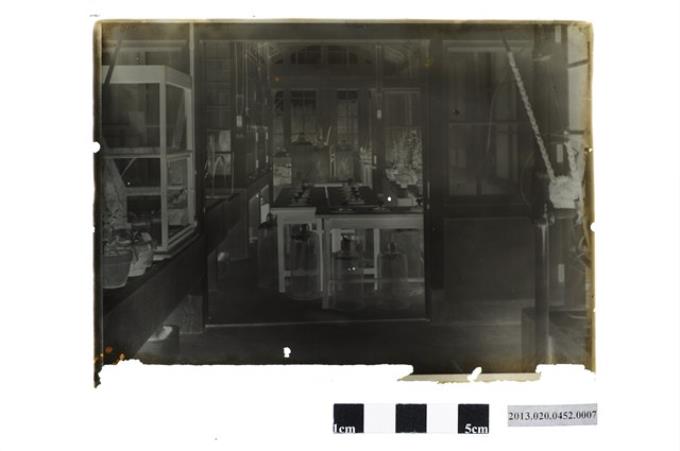 臺灣大學早期校園內硝子室內部玻璃底片 (共2張)
