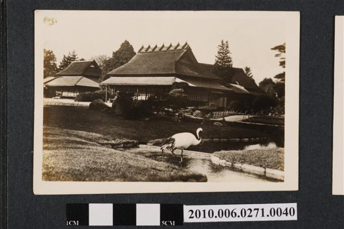 岡山後樂園 (共1張)