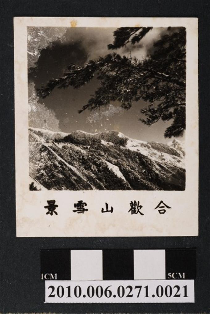 合歡山雪景 (共1張)