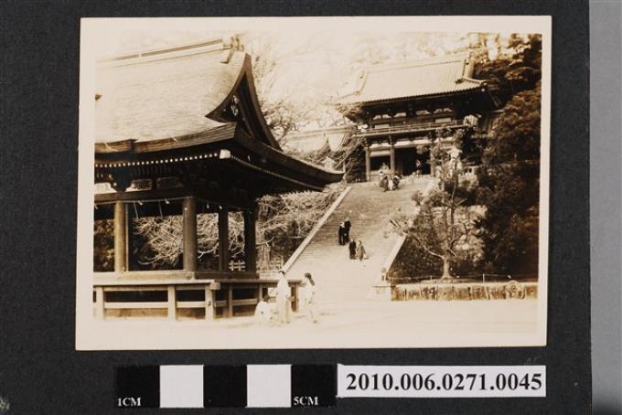 鶴岡八幡宮 (共1張)