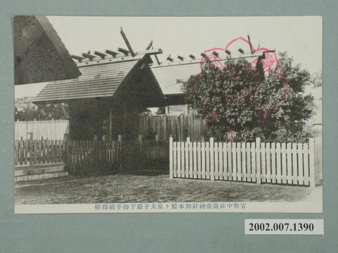 臺南神社社務所發行臺南神社本殿與皇太子殿下手植榕樹 (共2張)