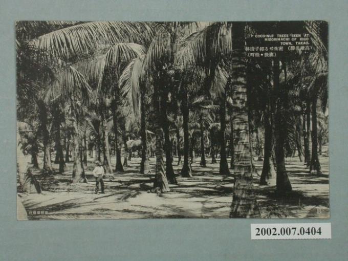 山形屋發行高雄名勝景點棕櫚林 (共2張)