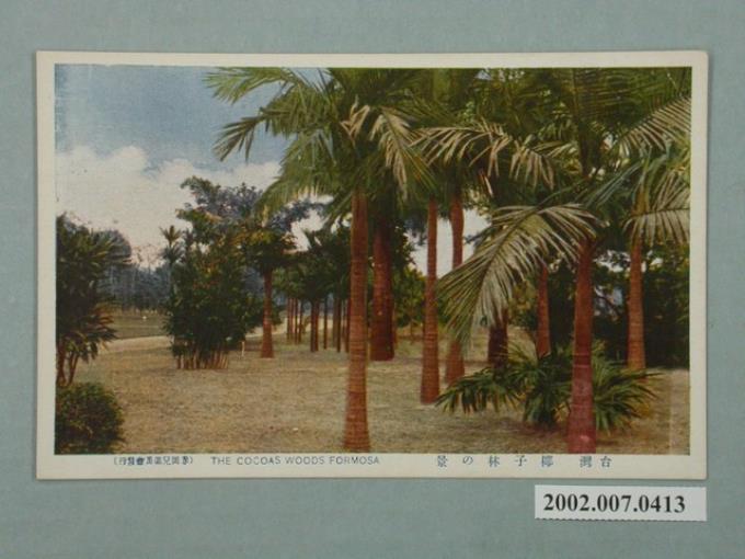 赤岡兄弟商會發行臺灣的棕櫚樹景色 (共2張)