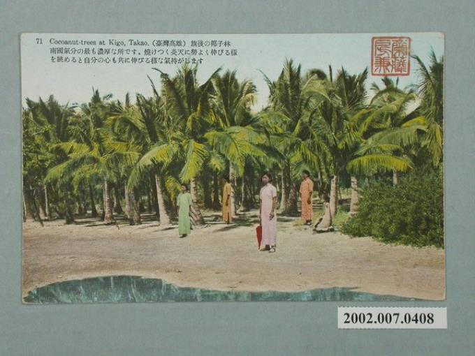 臺北生蕃屋本店印行高雄旗後的棕櫚林 (共2張)