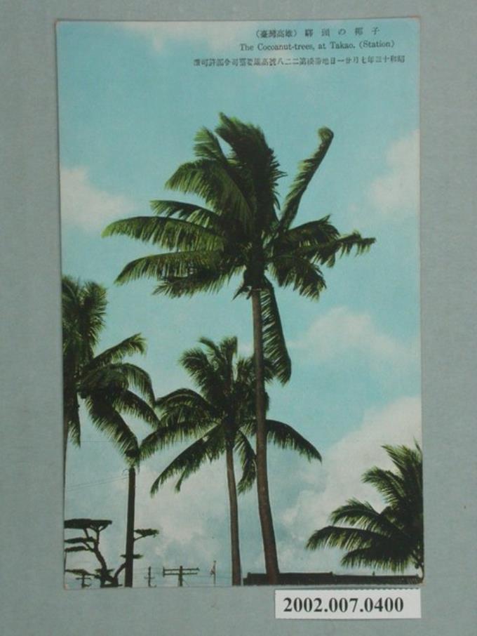 高雄南海商店發行高雄火車站的椰子樹 (共2張)