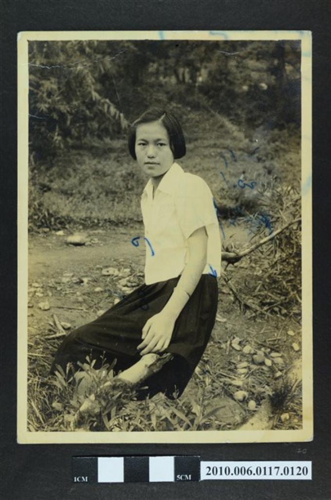 一女子坐於樹枝獨影之照片 (共1張)