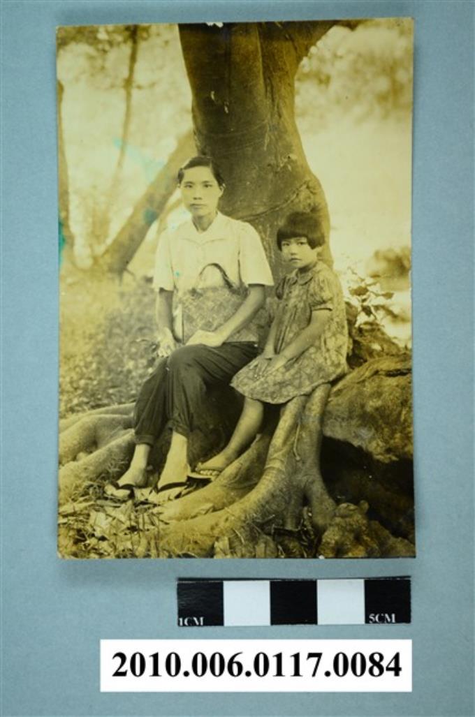 一女子與一女童坐在樹下凸出地面樹根合影之照片 (共3張)