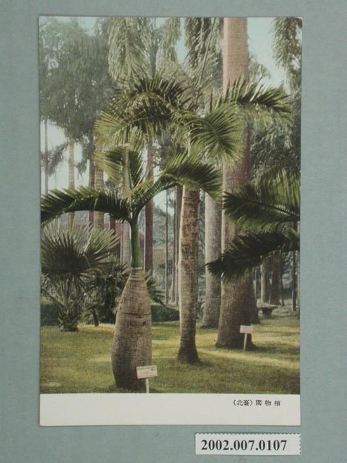 臺北植物園 (共2張)
