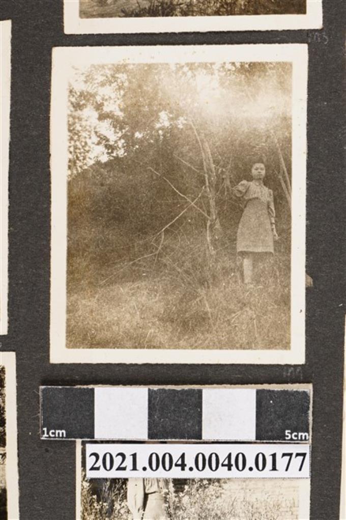一女站在樹林 (共2張)