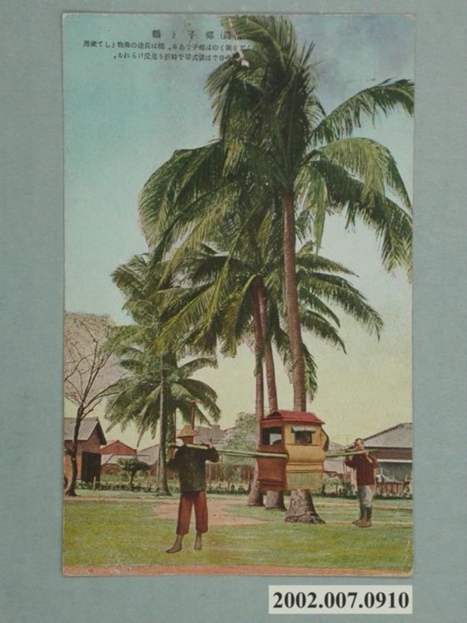 椰子樹與轎子 (共2張)