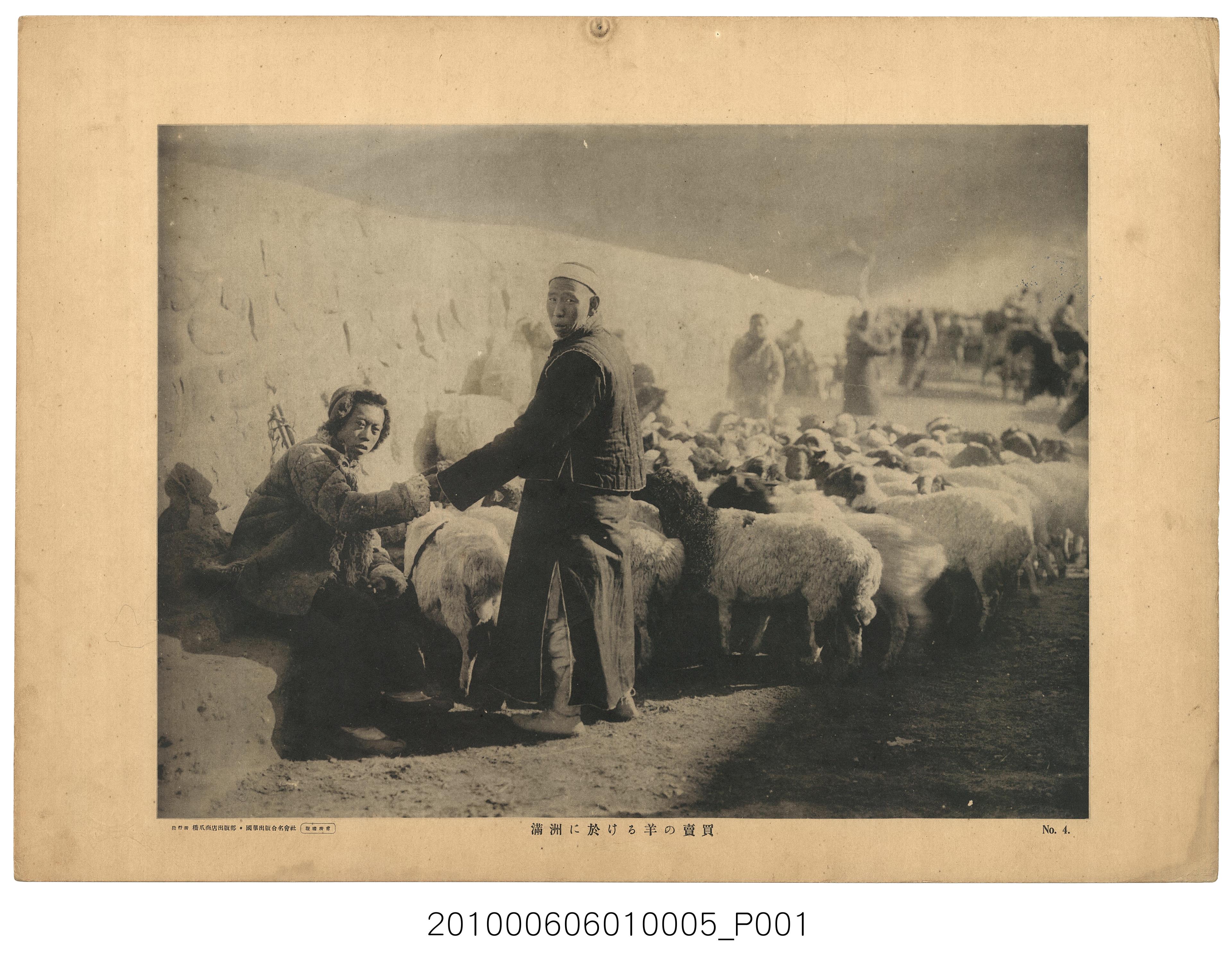 滿洲羊群買賣寫真 (共1張)