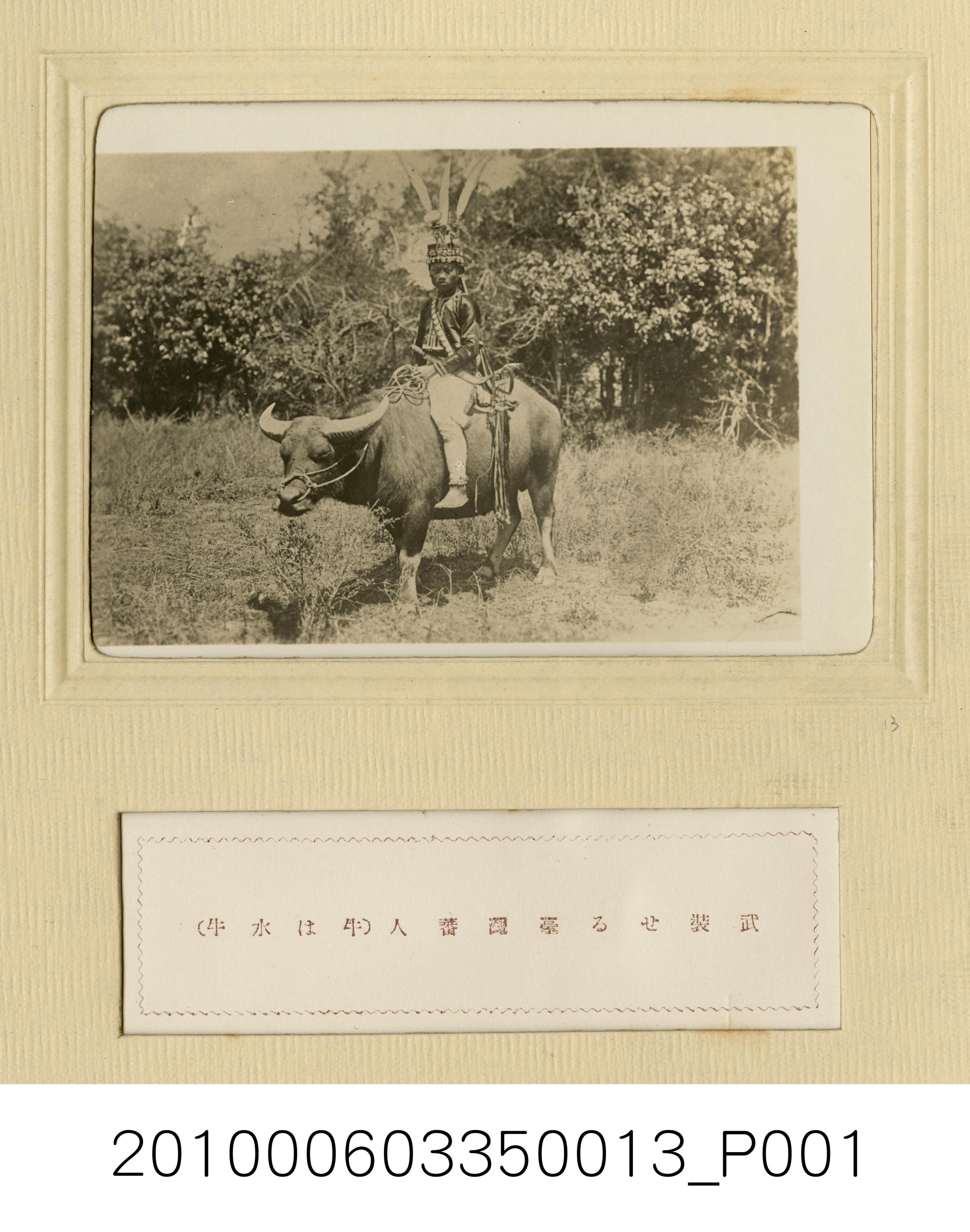 騎乘水牛全副武裝的臺灣原住民 (共1張)