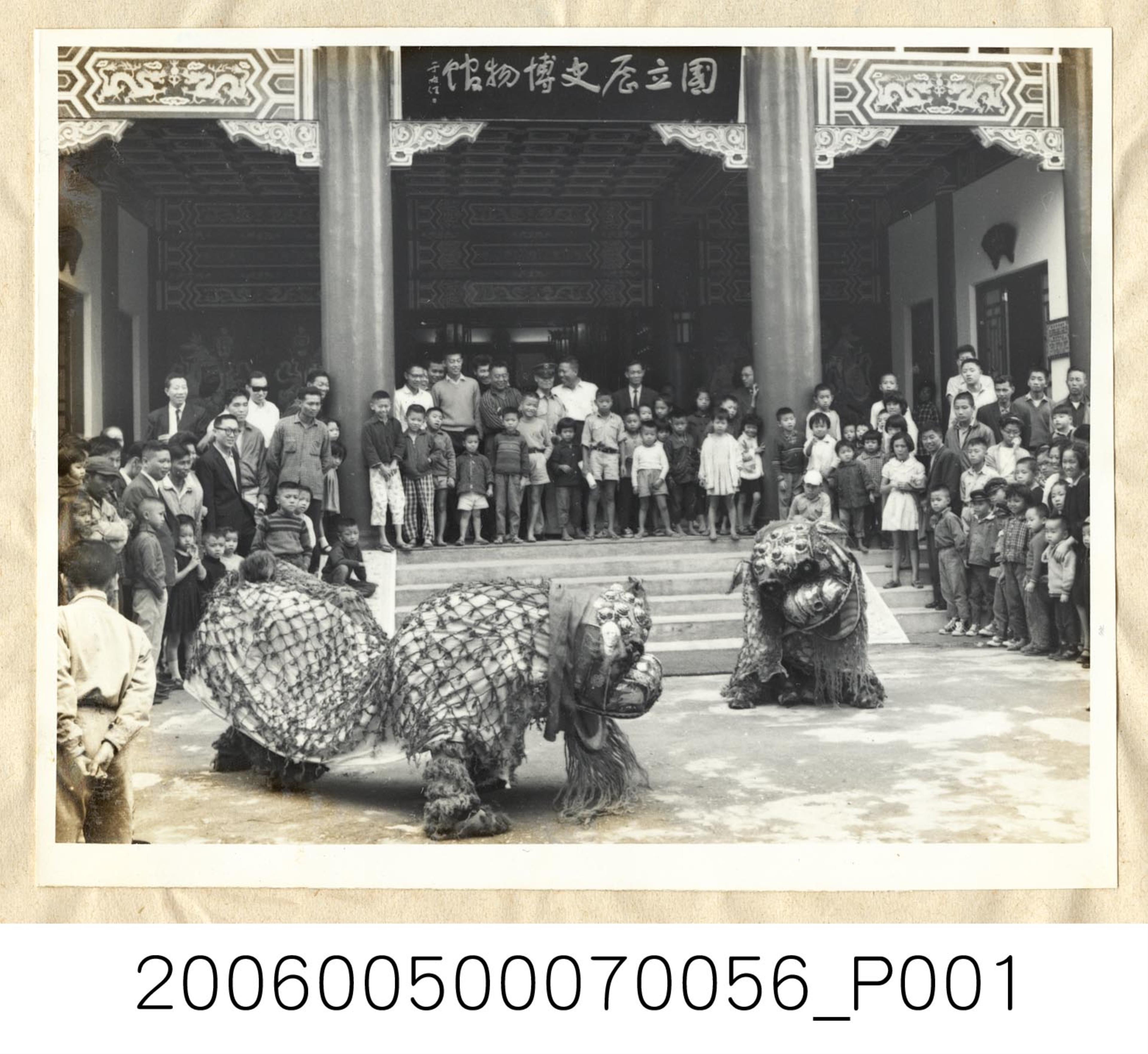 《華僑通訊社新聞照片集》〈臺北民間團體舞獅迎接辳曆新年〉 (共1張)