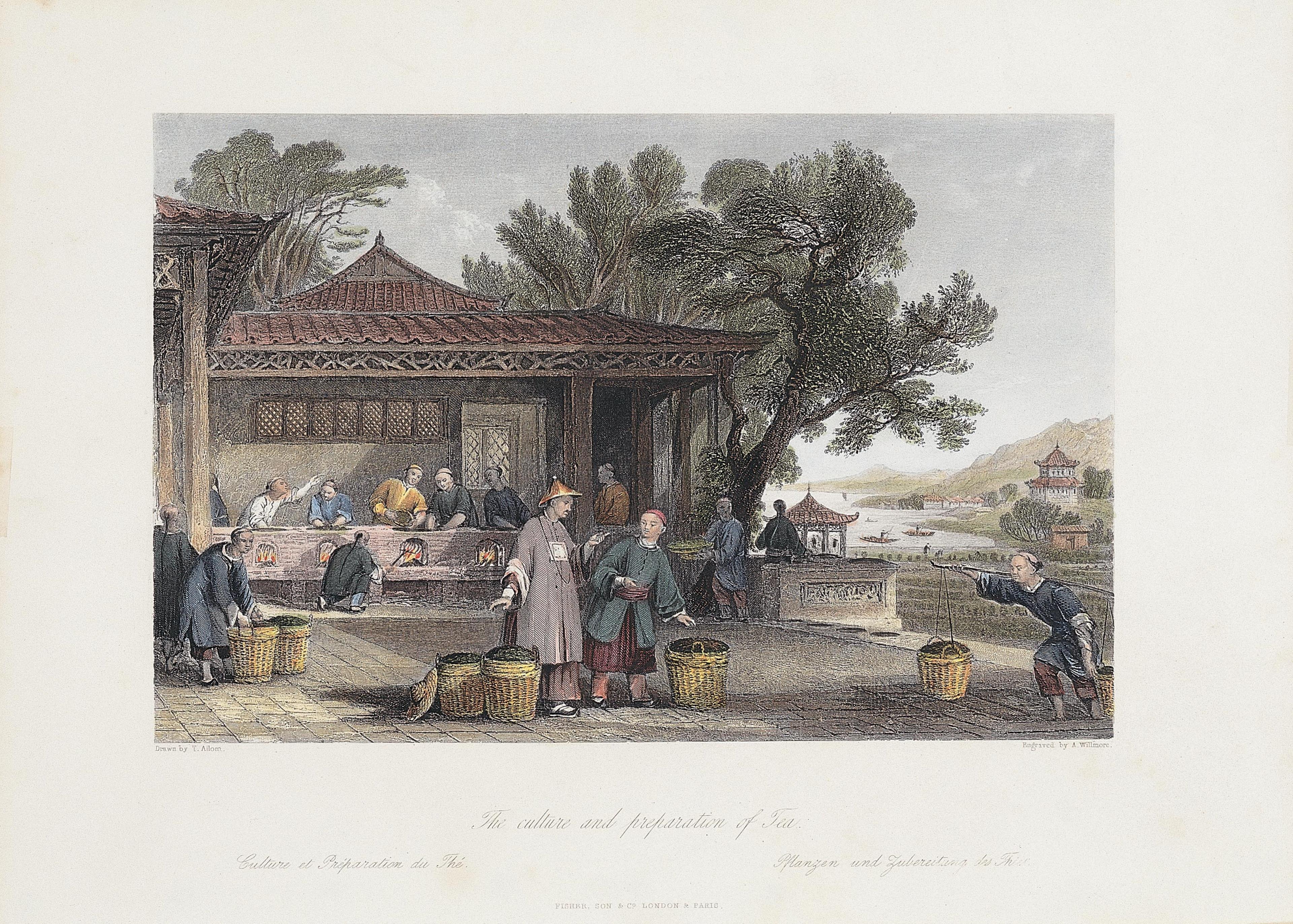 托馬斯艾隆繪〈製茶文化與工序〉 (共1張)