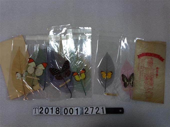 紙蝴蝶葉脈標本紀念組 (共1張)