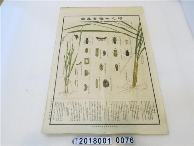 臺灣總督府殖產局發行稻之七種害蟲圖 (共1張)