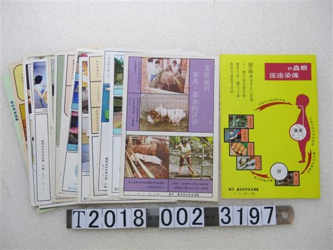 臺灣省政府衛生處印製「蛔蟲的傳染途徑」宣傳文宣 (共1張)