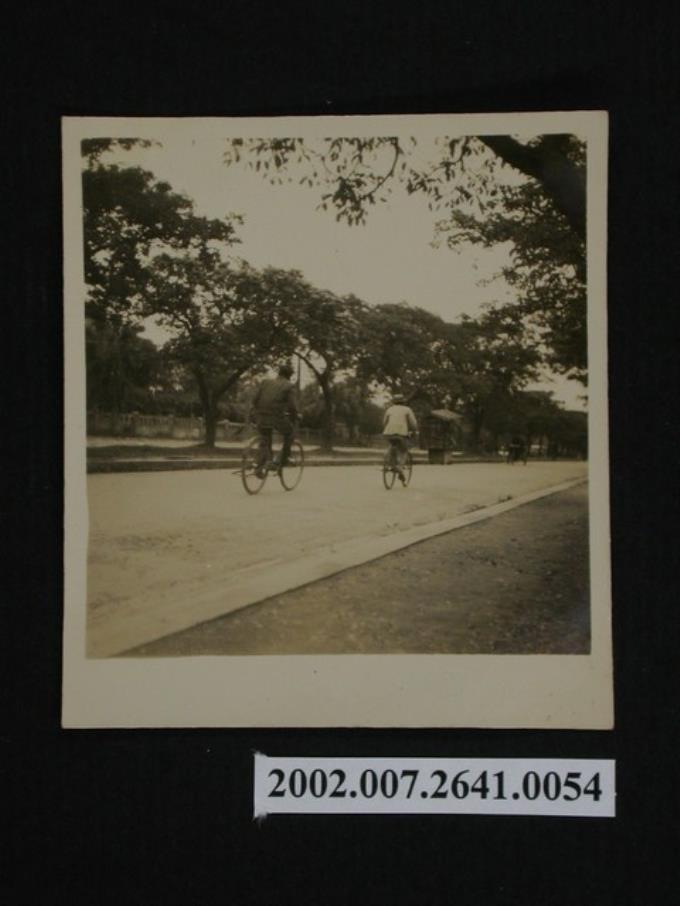 兩人騎行腳踏車於道路 (共1張)