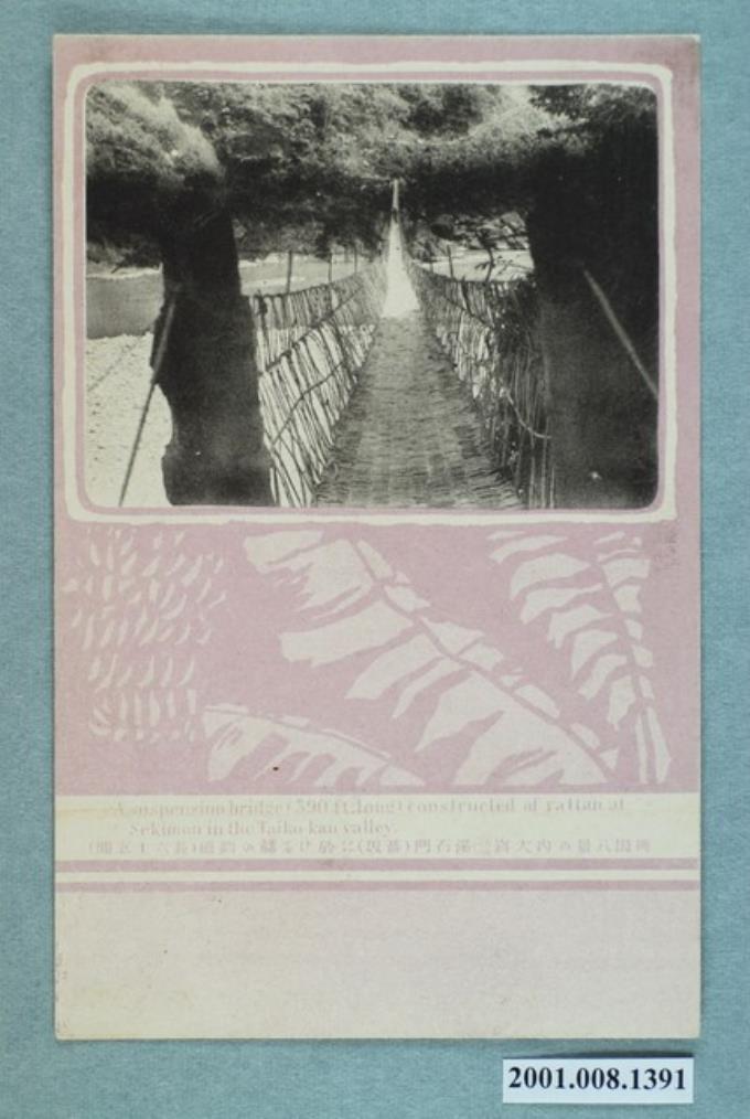桃園八景的內大崁溪石門的藤製吊橋 (共2張)