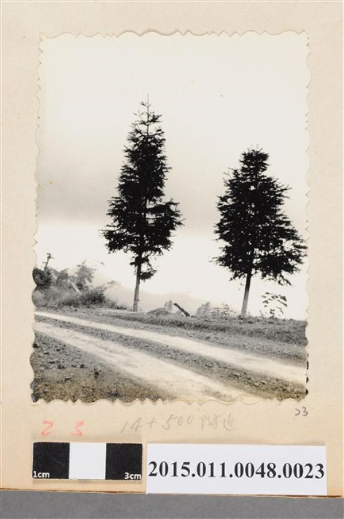 公路與樹 (共1張)