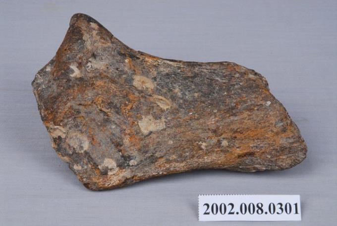 水牛橈骨化石 (共3張)