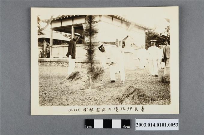 昭和3年臺東神社內植樹紀念 (共4張)