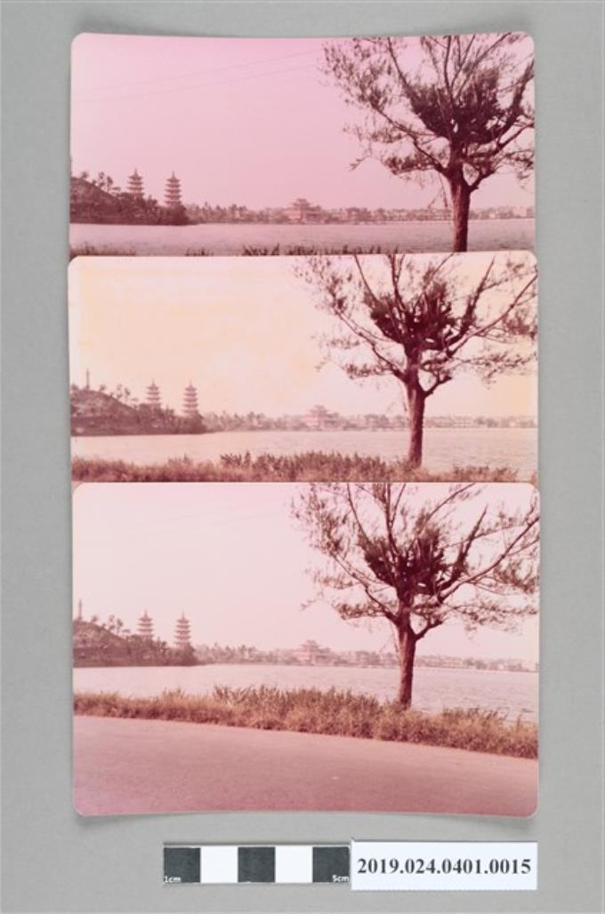 柯旗化拍攝之左營風景 (共2張)